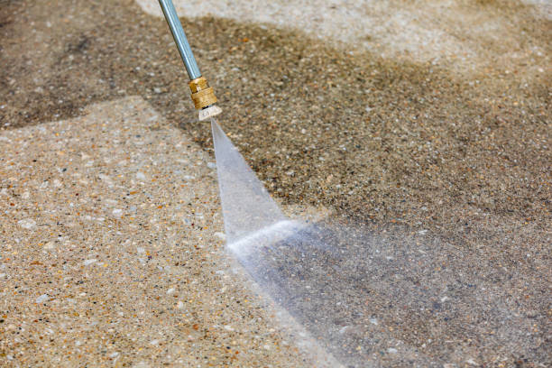Best Driveway Pressure Washing  in Floral Park, NY